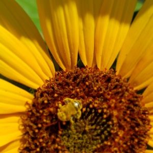 Meet your Posher, Cary